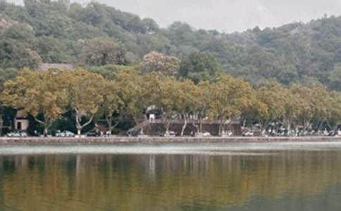 ���x��������������ƪ