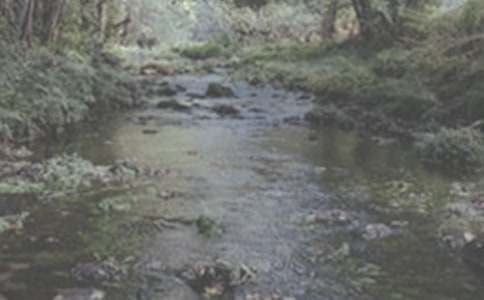 СϪ���ĉ�(m��ng)������