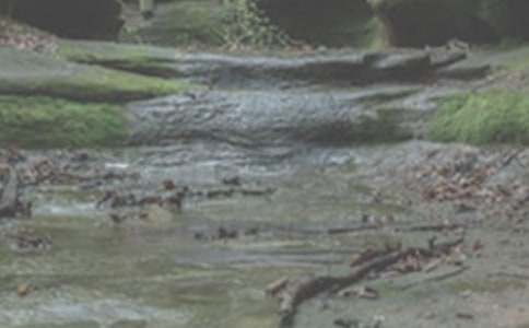 �茑(xi��)СϪ��ˮ�ă�(y��u)��Ƭ�δ�ȫ