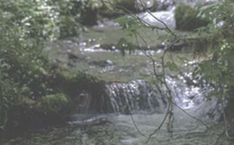 描寫(xiě)小溪流的段落