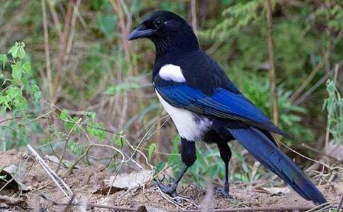 ϲ�oͯԒ(hu��)�����\��5ƪ