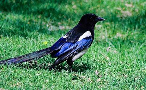 ϲ�oͯԒ(hu��)����9ƪ