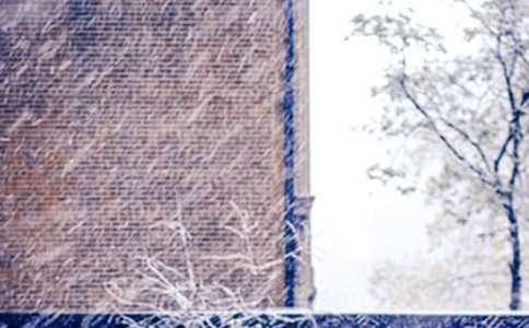 ��ѩ���ģ����x35ƪ��