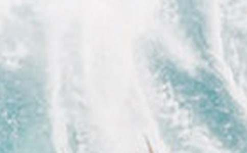 夏季的風(fēng)作文