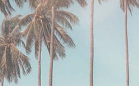 ���^(gu��)�ļ�����800��