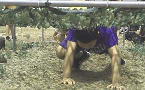 ����I(y��ng)��ӛ����2000��