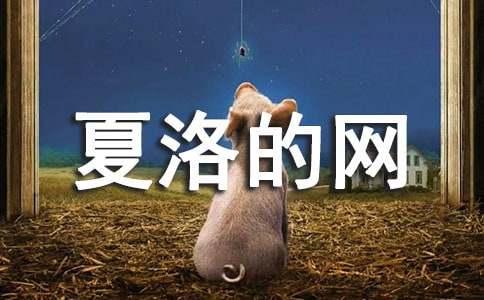 ����ľW(w��ng)�x��(sh��)�Pӛ�����x10ƪ��