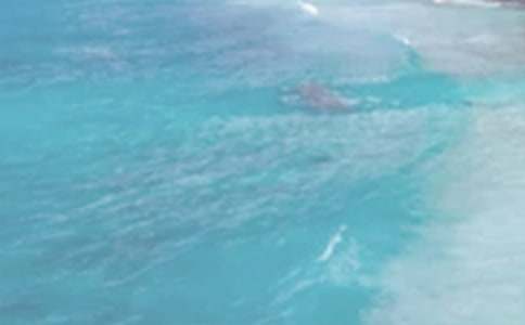 ��(xi��)���յ��L(f��ng)����