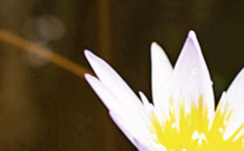 ���P(gu��n)��������300�֣�ͨ��35ƪ��