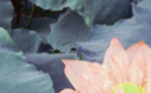 С�����(hu�� )�����̰������x6ƪ��