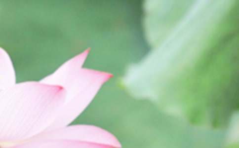 ��Ϧ�ă�(y��u)��ɢ�ģ�������Ϧ��ͨ��19ƪ��