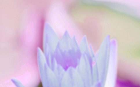 �׃��������P(gu��n)�̰������x7ƪ��