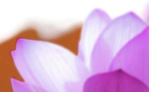 關(guān)于夏至的祝福寄語(yǔ)