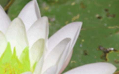 �V�|����������