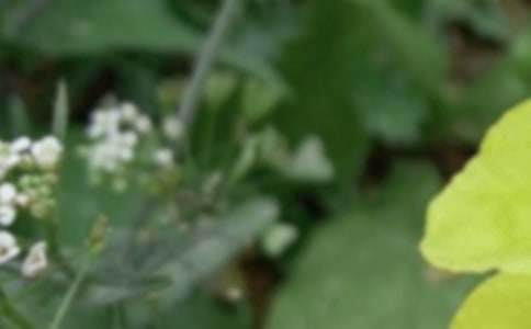 �����ČW(xu��)�̰������x5ƪ��