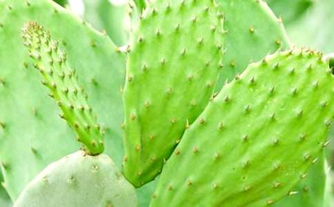 ���������^����1500��