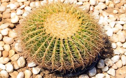 �辰��������������ģ�ͨ��22ƪ��