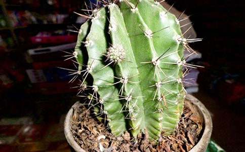 �^(gu��n)������������300��