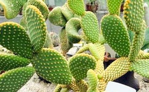 ������С�W(xu��)��������