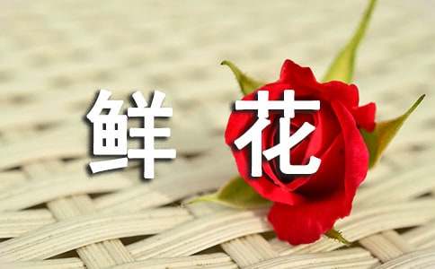 對鮮花教案
