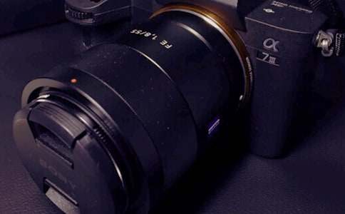 生命的相機作文-五年級-記敘文