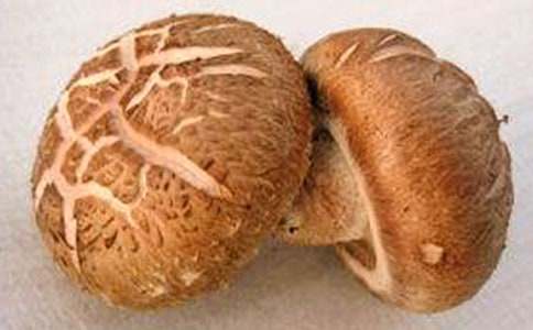 【精華】香菇作文300字四篇