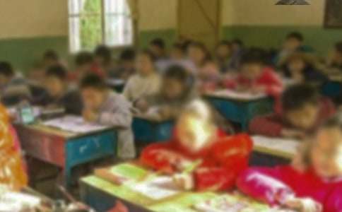 夏天的鄉村小學(xué)作文