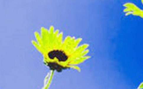 ������g(sh��)�����տ����̰��c��˼