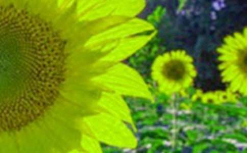 ���տ���΢Ц����(���x12ƪ)