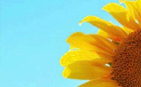 ���տ���΢Ц����900��