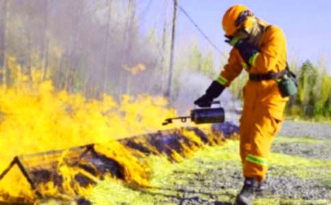 �а�������ȫ�̰�