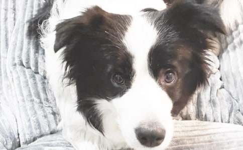 �ɐ�(��i)��С��100������