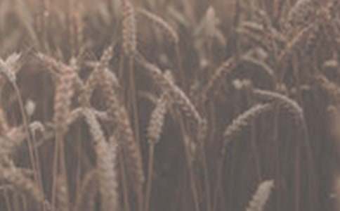 ���l��С��400������