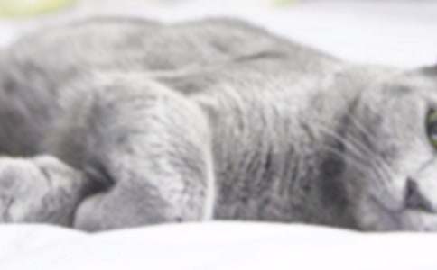 �аలȫ���(d��ng)�̰�����ˮ��С؈��