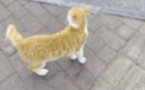 �^(gu��n)��С؈������