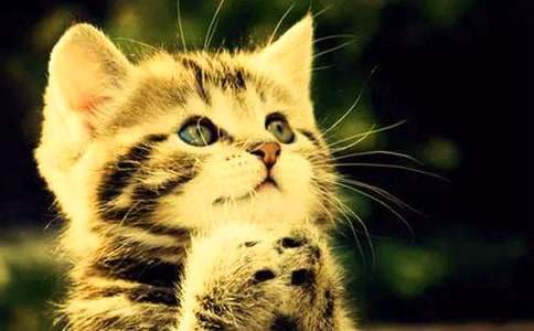 ��(xi��)��(d��ng)��С؈������