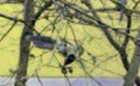 �����]��С�B(ni��o)��ͯԒ(hu��)����20ƪ