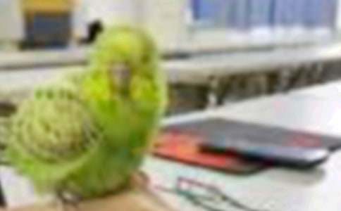 С�B(ni��o)�����\���꼉����