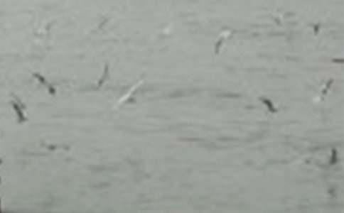 �����С�B(ni��o)����