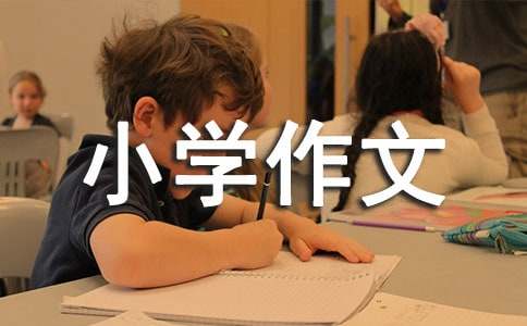 �ܲ��ܲ���ô�o(w��)��С�W(xu��)����