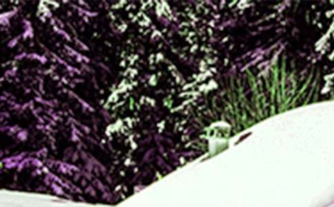 大班認識小雪節氣教案模板(精選5篇)