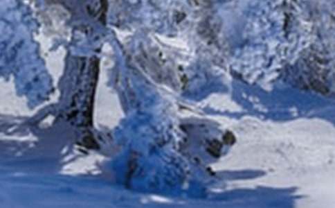 Сѩ����ͯԒ(hu��)����