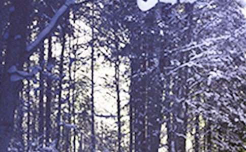 Сѩ���Ķ��꼉����100��