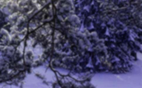 Сѩ���⽡���̰����ģ�ͨ��11ƪ��