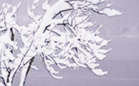 С��Сѩ�������}���(d��ng)�̰�ģ�壨���x5ƪ��