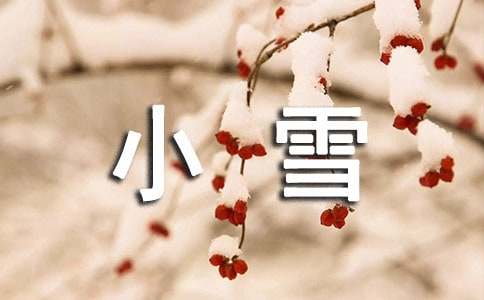小班語(yǔ)言?xún)焊栊⊙┗ń贪福ňx10篇)