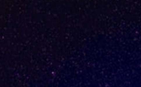 �����ǿ�,ʰ����������