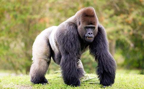 �������ɡ��x�������