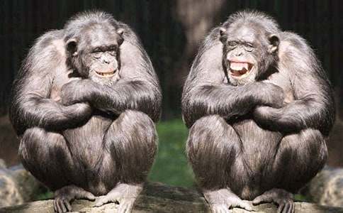 Λρ�����ɵ�����400�֣����x6ƪ��