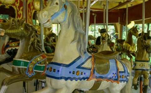 ����˨�����Dľ�R������